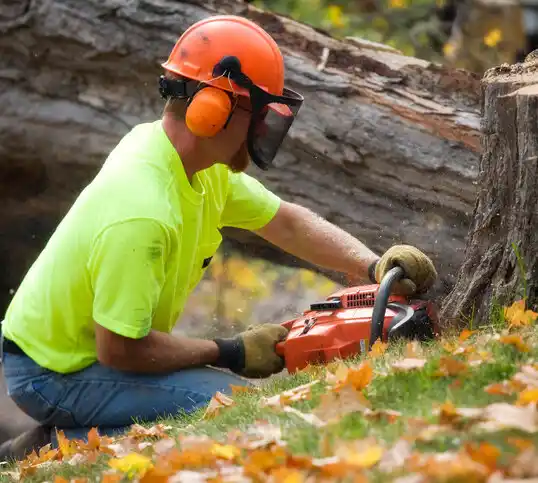 tree services Walnut Cove